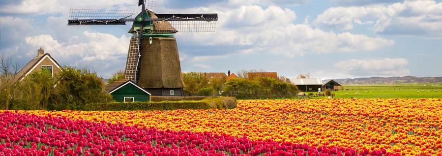 Bowltech International B.V.